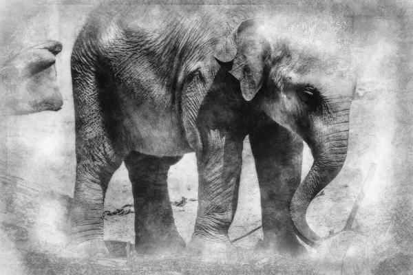 Baby Elephant Playing Log Wood Black White Drawing — Stock Photo, Image