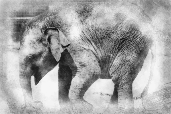 Elefante Bebé Jugando Con Tronco Madera Dibujo Blanco Negro — Foto de Stock