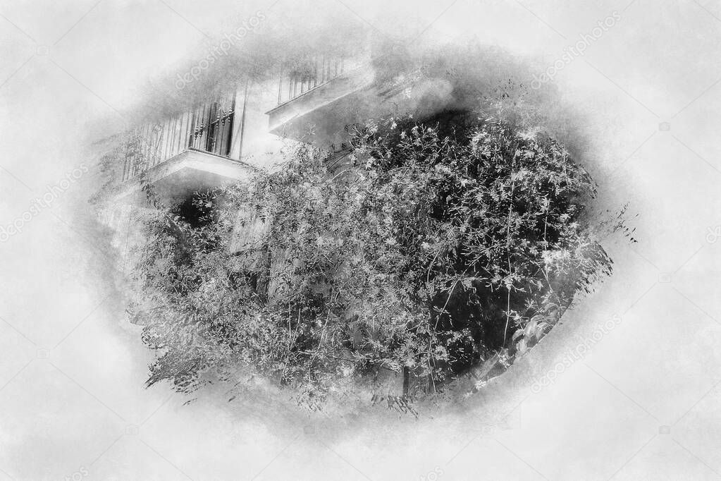 Marbella streets with flowers and plants in houses, Spain black and white drawing