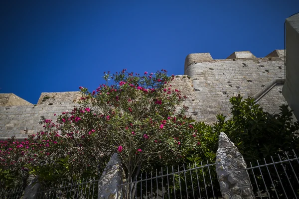 Peniscola-Stadt in Spanien — Stockfoto