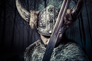 Viking Savaşçısı