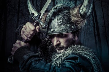 Viking Savaşçısı