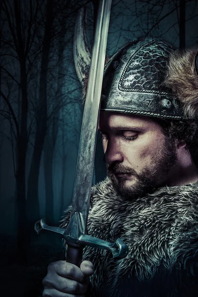 Viking warrior — Stock Photo, Image