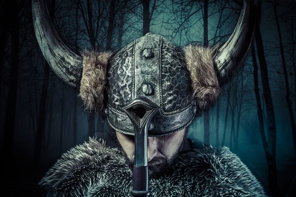 Воин викингов — стоковое фото