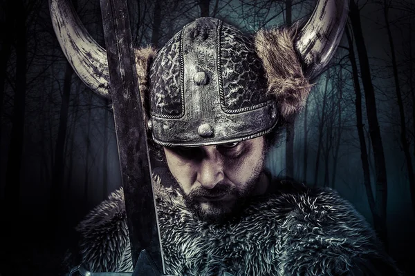 Guerreiro Viking — Fotografia de Stock