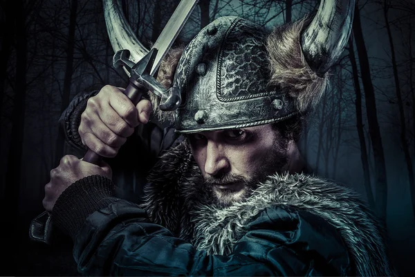 Viking warrior — Stock Photo, Image