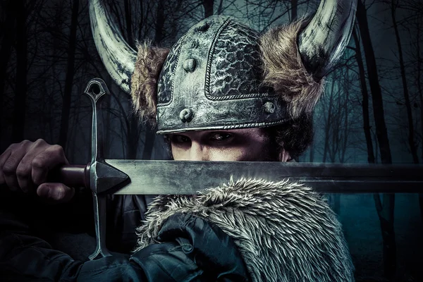 Viking Savaşçısı