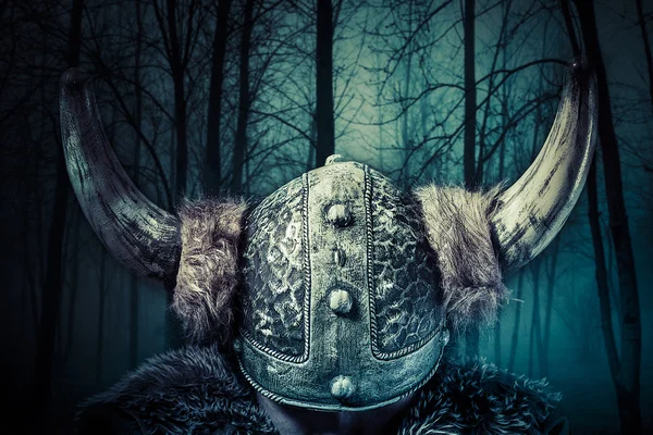 Guerreiro Viking — Fotografia de Stock