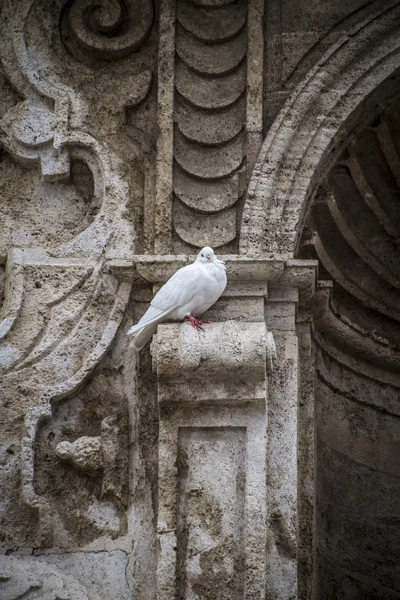 Spanische stadt valencia — Stockfoto