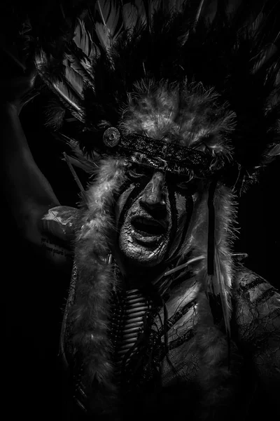 American Indian chief — Stockfoto