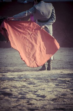 Gözlük boğa güreşi