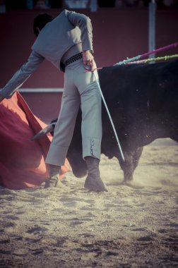 İspanya resimden boğa mücadele.