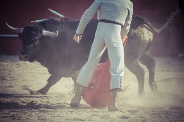 İspanya resimden boğa mücadele.