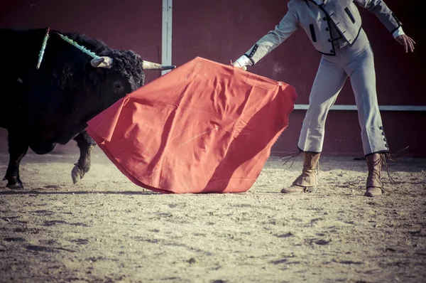 Spektakel van het stierenvechten — Stockfoto