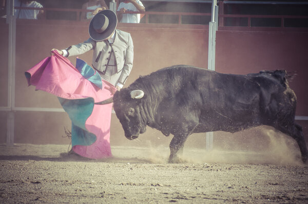 Спектакль корриды
