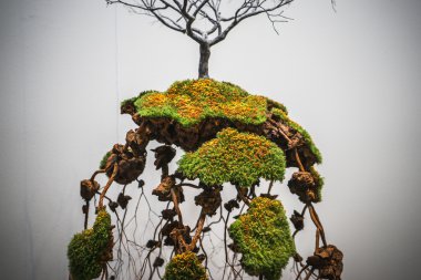 Arco Uluslararası Sanat Fuarı 2015