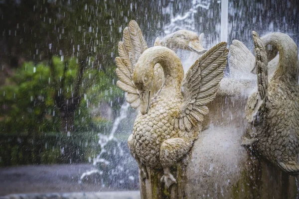 Královské zahrady Aranjuez, Španělsko — Stock fotografie