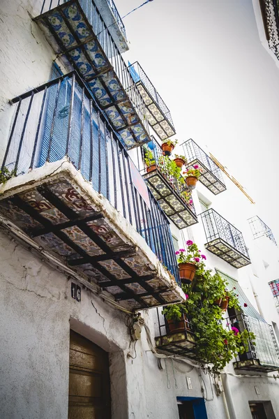 Panci bunga berwarna-warni di balkon — Stok Foto