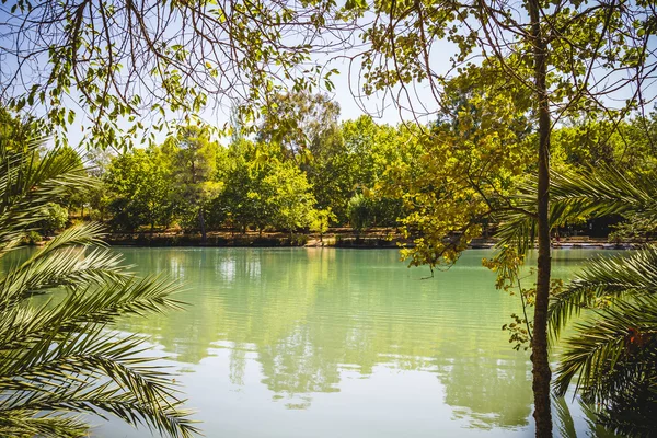 Krajina se stromy a přírodní jezero — Stock fotografie