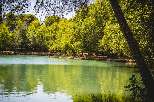 Paisaje con árboles y lago natural — Foto de Stock