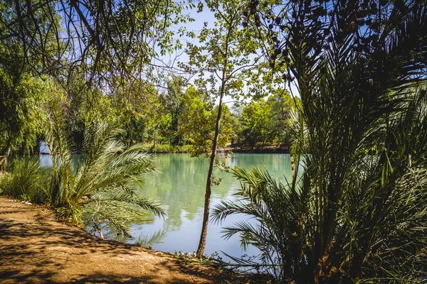 Τοπίο με δέντρα και φυσική λίμνη — Φωτογραφία Αρχείου