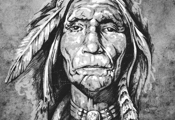 Retrato da cabeça indígena americana — Fotografia de Stock