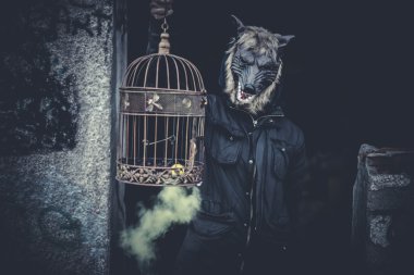 Maskeli adam kurt ve renkli dumanlı lamba
