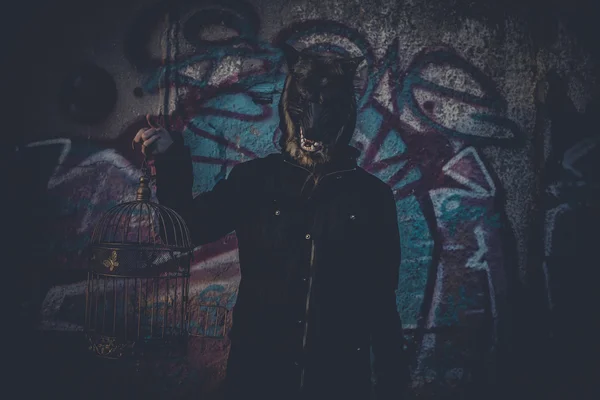 Man with mask wolf and lamp with colored smoke — Stock Photo, Image