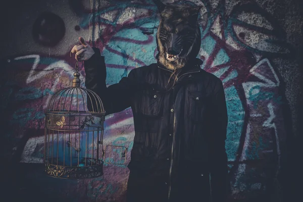 Man dressed as werewolf cage and colored smoke — Stock Photo, Image