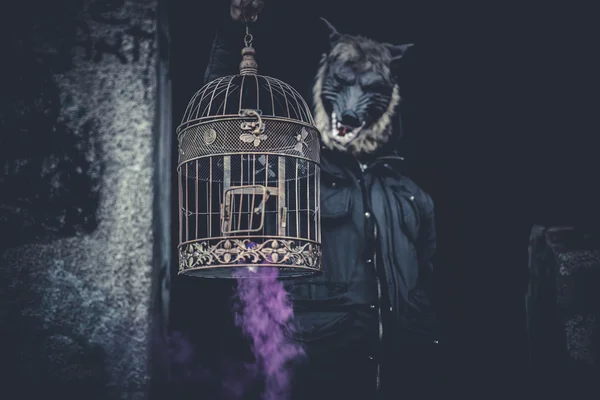 Hombre vestido como jaula de hombre lobo y humo de color — Foto de Stock