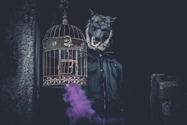 Mann mit Maske Wolf und Lampe mit farbigem Rauch — Stockfoto