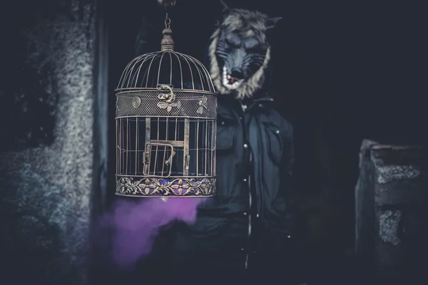 Man verkleed als weerwolf kooi en gekleurde rook — Stockfoto
