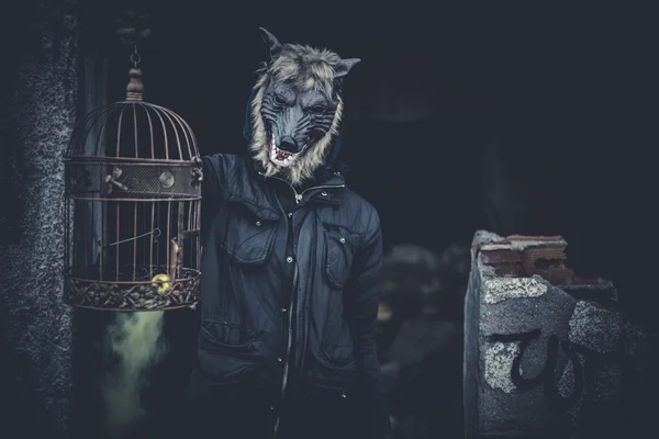 Mann mit Maske Wolf und Lampe mit farbigem Rauch — Stockfoto