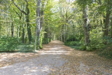 İspanya 'daki Jardines de la Granja de San Ildefonso parkı