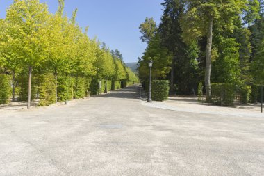 La Granja de San ettiler bahçeleri