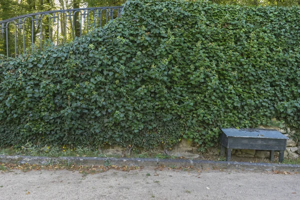 Jardines de la Granja de San Ildefonso park — Fotografia de Stock