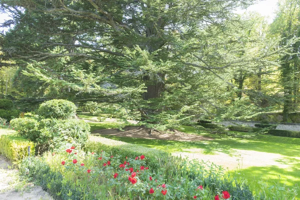 Jardines de la Granja de San Ildefonso park Spanyolországban — Stock Fotó