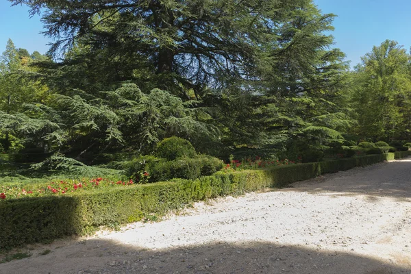 Сады Гранха-де-Сан-Ильдефонсо в Испании — стоковое фото