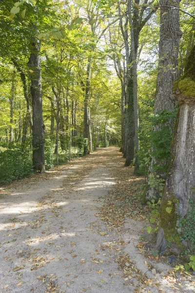 スペインのJardines de la Granja de San Ildefonso公園 — ストック写真