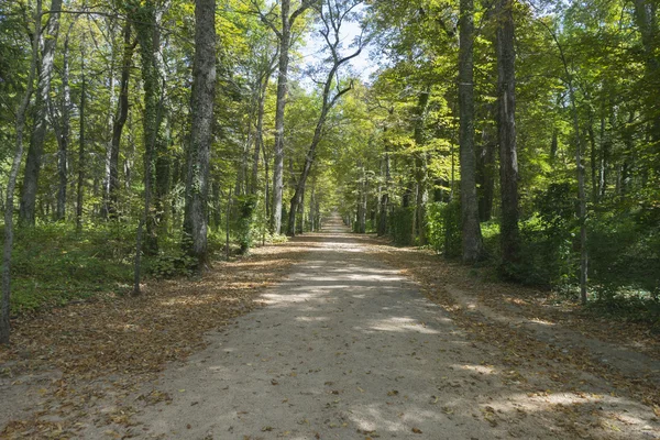 Park Jardines de la Granja de San Ildefonso w Hiszpanii — Zdjęcie stockowe