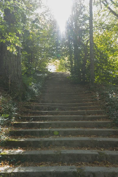 Escaliers à Jardines de la Granja de San Ildefonsos — Photo