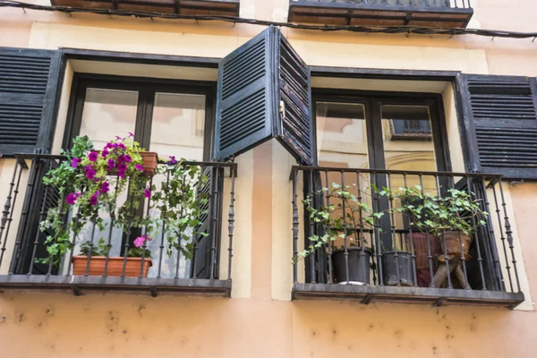 Old windows in classical building — Stock Photo, Image