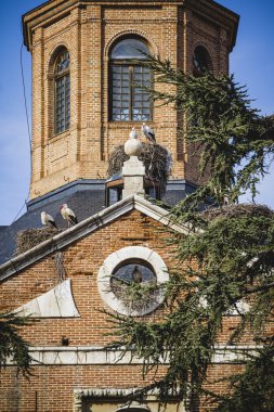 İspanyol şehir Alcala de Henares