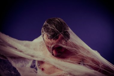 Adamımız dev örümcek ağı içinde sıkıştı