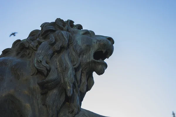 Bronze lion sculpture — Stock Photo, Image