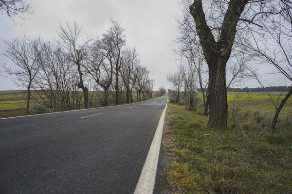 Pustá krajina na zamračený den — Stock fotografie