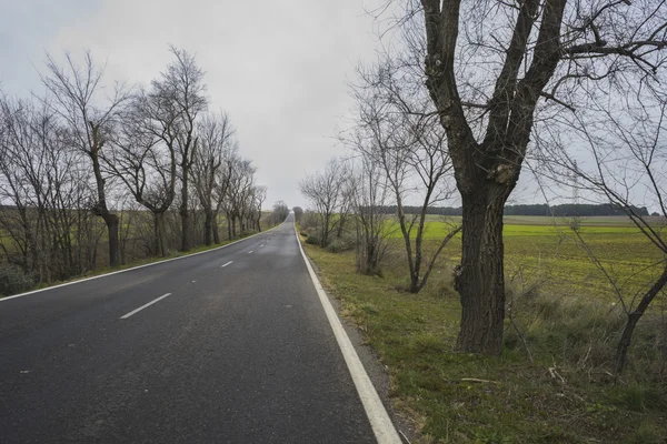 Paysage désolé par une journée nuageuse — Photo