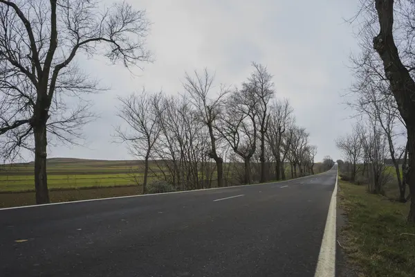 Desolate landschap op een bewolkte dag — Stockfoto