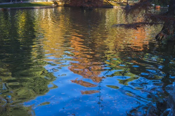 Lake with reflections on water autumn — стоковое фото