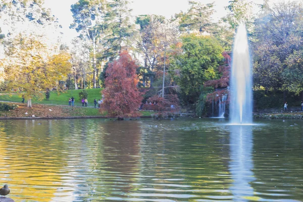 Gärten im Herbst im pensionro park in madrid, spanien — Stockfoto